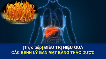 Điều trị hiệu quả các bệnh lý gan mật bằng thảo dược | Sức khỏe vàng VTC16