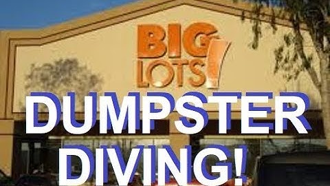 Big Lots and ALDI Dumpster Dive! Freakin Freegan!
