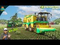 Planting & Harvesting Green Beans - Farming Simulator 25 Hutan Pantai Map gameplay 28