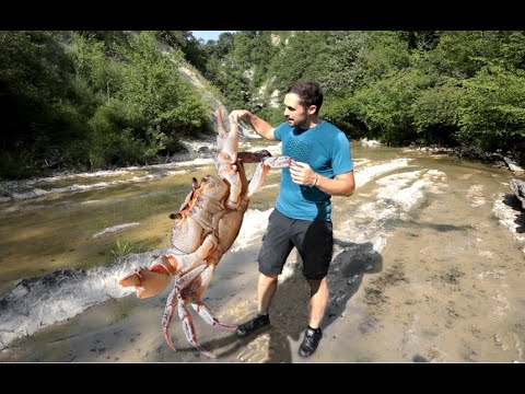 Il misterioso GRANCHIO DI FIUME