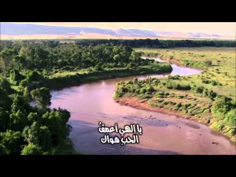 Ya Elahy Pope Shenouda HD قصيدة يا الهى اعمق الحب هواك روزالين رجائى