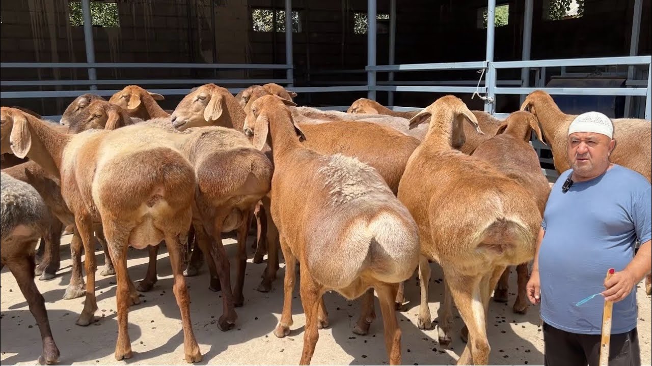 🔴 “Tursinali Akada PORTLADI! Nasldor Sovluqlarni Ko‘rgan Xohlab Qoladi!”😱😱