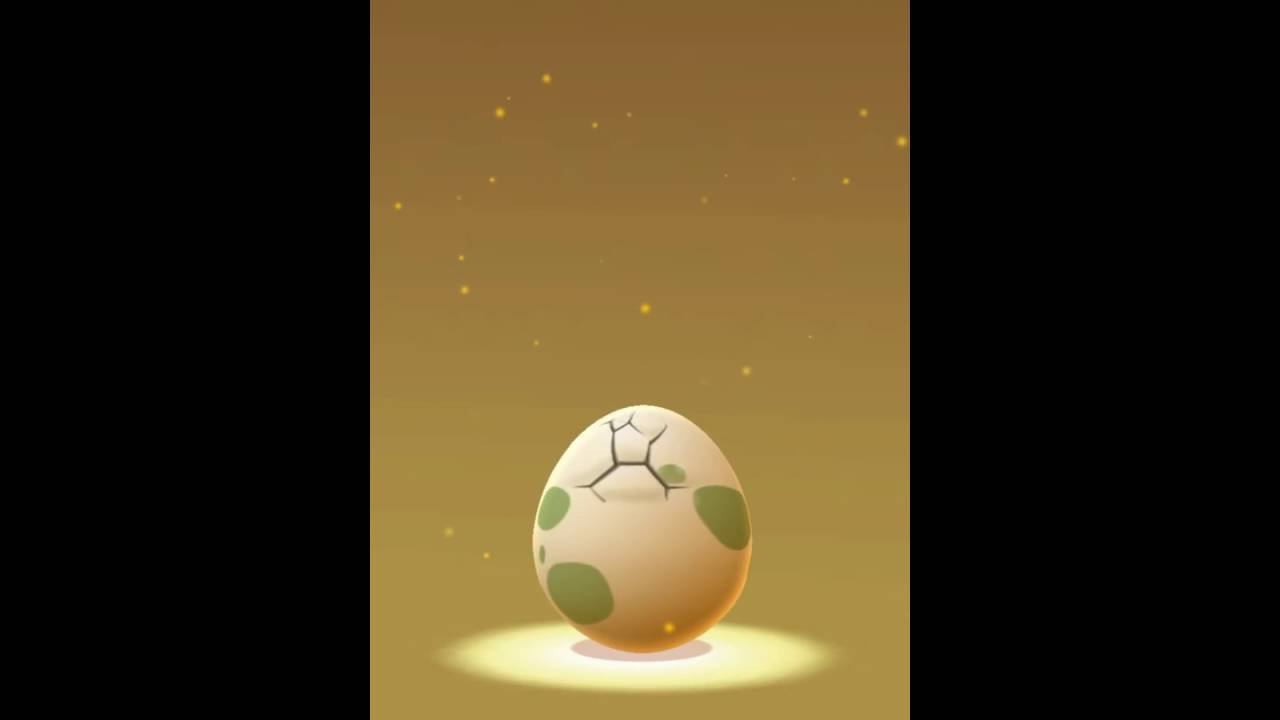 Pokemon Go — First 5Km Egg Hatch