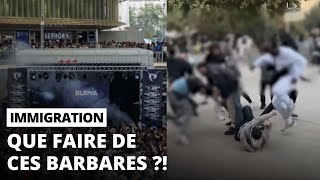 Des Émeutes Écatent À Chatelet Après Lannulation Dun Concert Gratuit... Comme Dhabitude ?