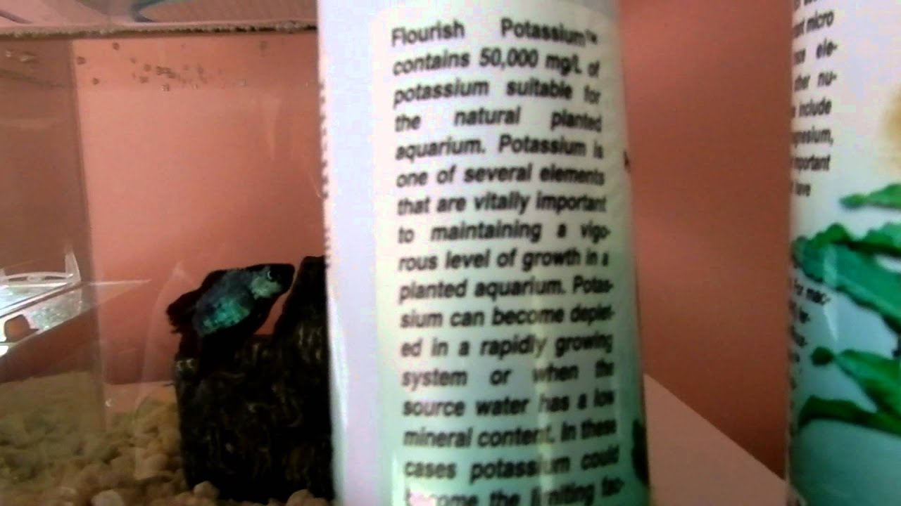 seachem flourish plant food YouTube