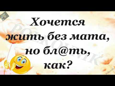 Кладезь юмора. Хочется жить без мата...