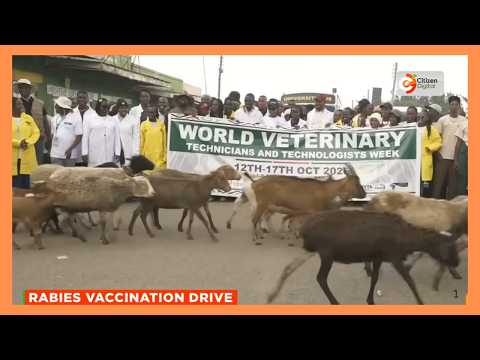 744 animals vaccinated in Bahati, Nakuru