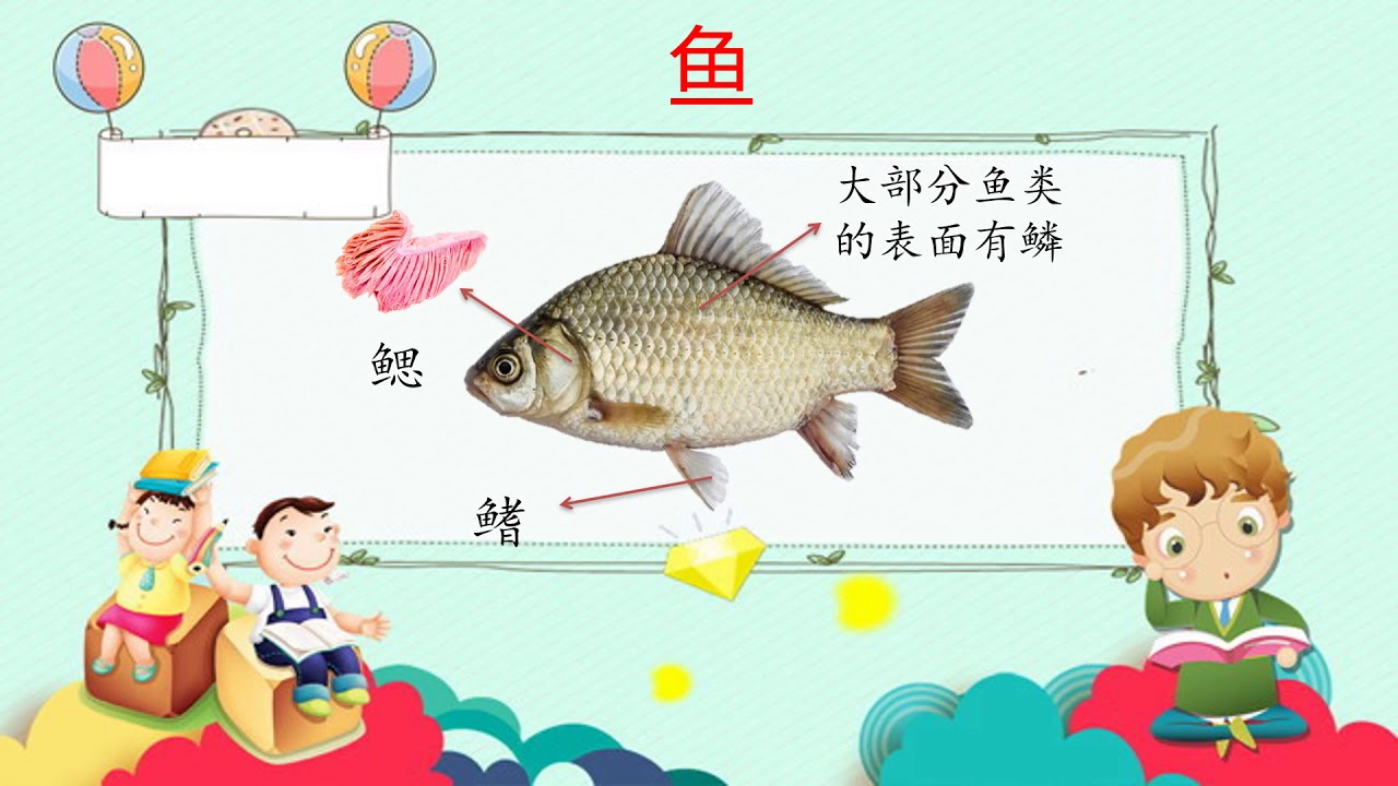 Kssr Semakan 4年级科学第3课 脊椎动物和无脊椎动物 Youtube