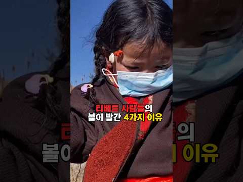 티베트 사람 얼굴이 붉은 이유 4가지!! #티베트 #tibet #얼굴이빨간이유#유전자 #shorts