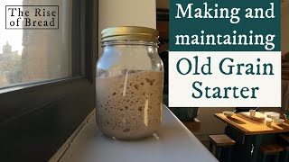 Celebrity How to make Ancient sourdough starter - The Rise of Bread (Companion video) Net Worth