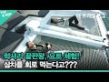 럭셔리 끝판왕, 요트 체험! 삼치를 회로 먹는다고??? [더 트래블로그 여수 편 #2]