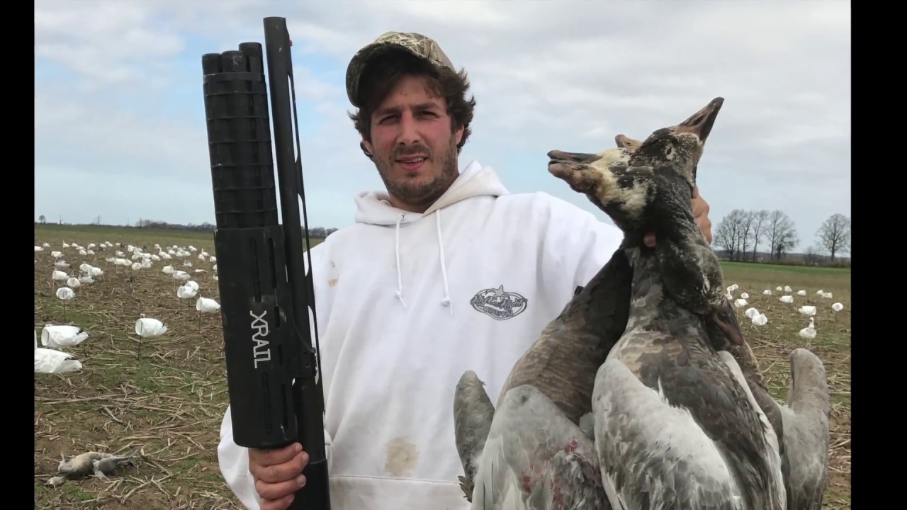 Arkansas Snow Goose Hunt 2017 YouTube Arkansas Snow Goose Hunt 2017 YouTube