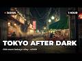 Tokyo Izakaya Alley at Night 🏮 1 Hour Sizzling Grills & Lantern Glow | Japan ASMR for Deep Focus