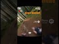 #wolvesattack #animalshorts #hiking #goviral