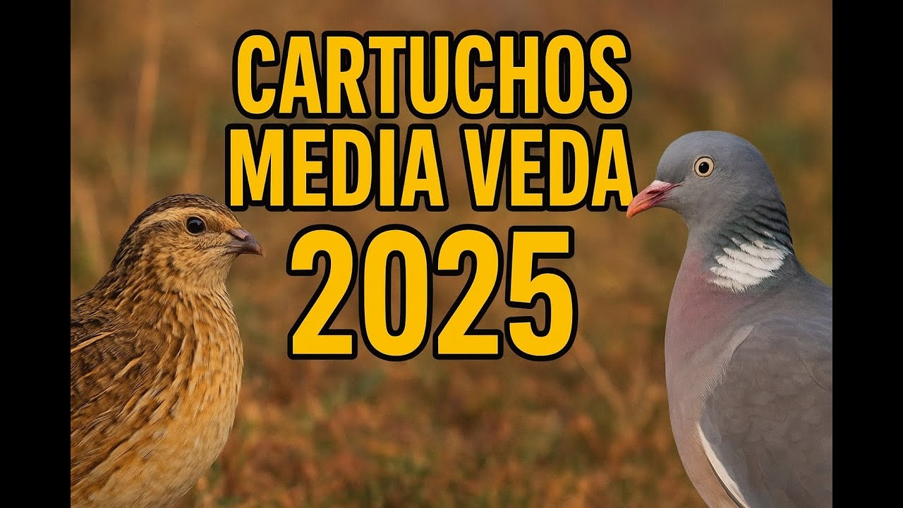 CARTUCHOS PARA MEDIA VEDA 2025
