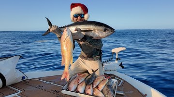 EPIC Multi-species Offshore Fishing | Underwater View Snapper Fishing