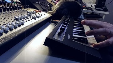 Reface CP with MicroCosm