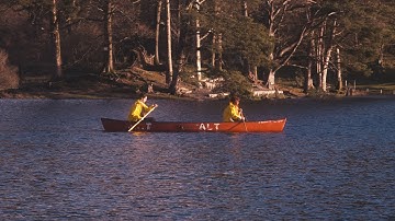 No Windows - Small Flashing Light (Official Visualizer)