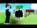 *SECRET* METHODS to Get FREE PERMS (Blox Fruits 2025)
