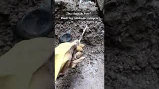 Garbage Cleanup | How To? #beatplasticpollution #zerowasteindia