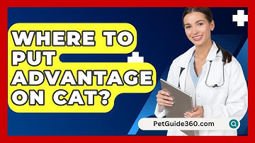 Where To Put Advantage On Cat? - PetGuide360.com