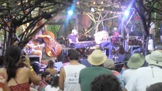 Ryley Walker - Pickathon 2015