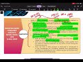 CARO 2020 Application ( Revision ) | CA INTER AUDIT | CH 8
