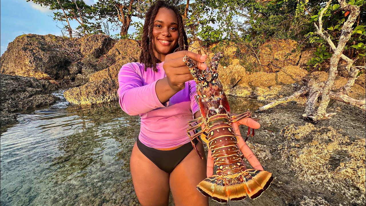 EXPLORING FOR SEA CREATURES - Seafood Catch & Cook