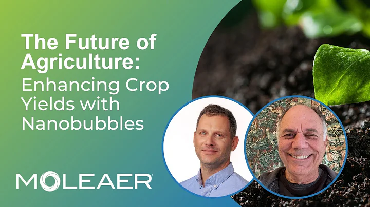 The Future of Agriculture: Enhancing Crop Yields with Nanobubbles