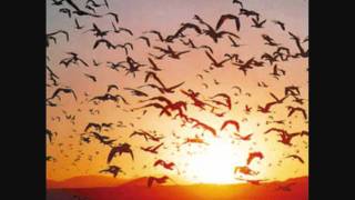 Gün Eksilmeden Penceremden Cahit Sıtkı Tarancı Hakan Gökbaş