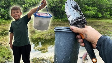 Starting a Fiddler Crab Farm & Catching Fiddler Crabs