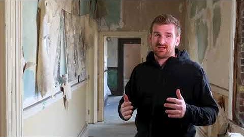 Stop WASPS getting into your loft