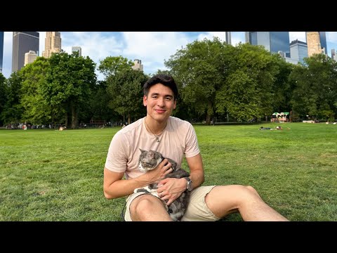 My indoor cat's first time in central park