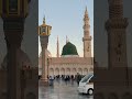 Muhammad sa nahi koi #naat #shorts #islamicstatus