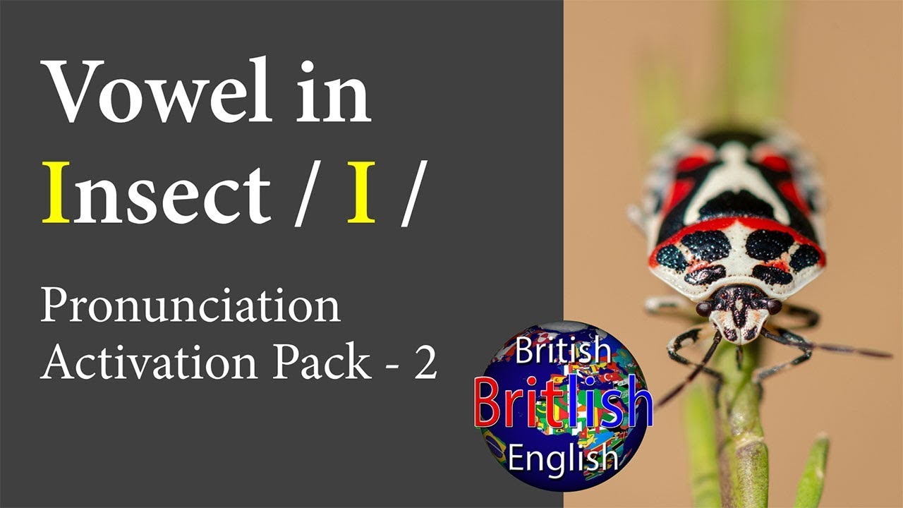 Improve your British English Pronunciation: Vowel in Insect / I /