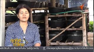 อาชีพเลี้ยงไส้เดือน สติฟาร์ม รายการทุกทิศทั่วไทย