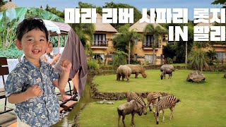 🇮🇩 #3 아기랑 마라리버사파리롯지 🦒/ 발리사파리리조트 / 우기 발리여행 / 발리여행vlog / 발리호텔추천 / MaraRiverSafariLodge / SafariBali