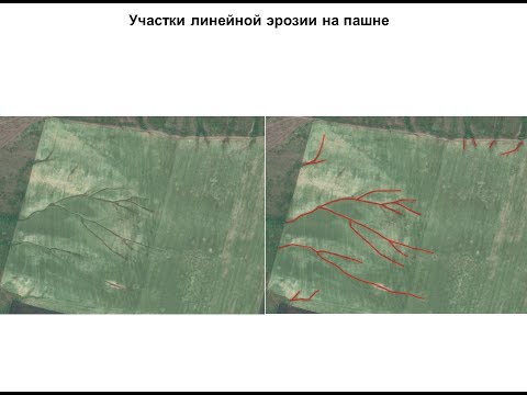 Анализ развития процессов