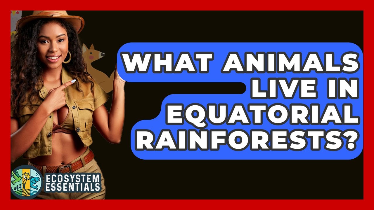 What Animals Live In Equatorial Rainforests? - Ecosystem Essentials