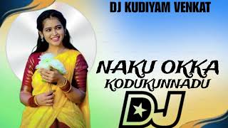 Naku Okka Kodukunnadu Full Dj Song | Latest Folk Songs 2024 | Bathukamma Music | Shankar Poddupodupu