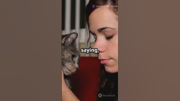 Why Cats Headbutt You!