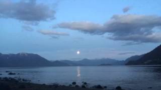 El Arte De Cultivar La Paciencia.