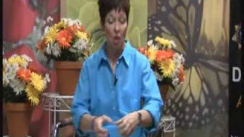 Debra Gauthier Testimony