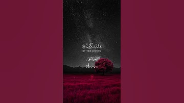 تلاوة عطرة بصوت الشيخ علي جابر رحمه الله