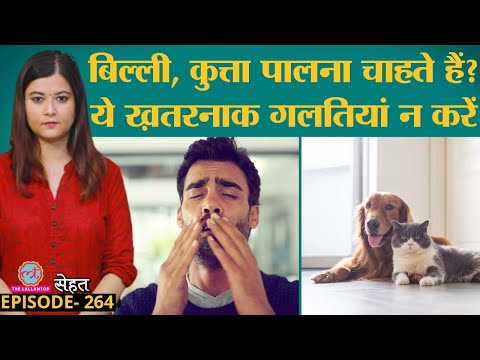 वीडियो: सड़क पर फिर से: अपने कुत्ते के साथ सड़क ट्रिपिंग