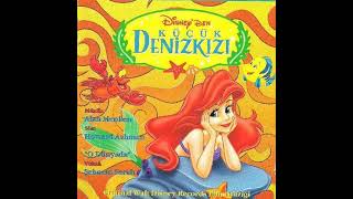 Şebnem Feraho Dünyada