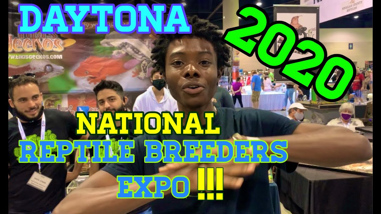 National REPTILE Breeders Expo Daytona 2020 !!! Feat. COVID19 YouTube