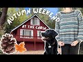 🍂I FINALLY FINISHED MY SWEATER🍂 Crocheting, Knitting, & Cozy Vibes | Cabin Vlog