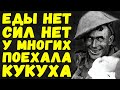 Безумие и голод Сталинградского котла | Письма с фронта