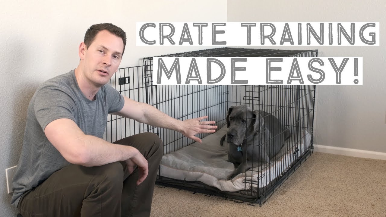 great dane size dog crate